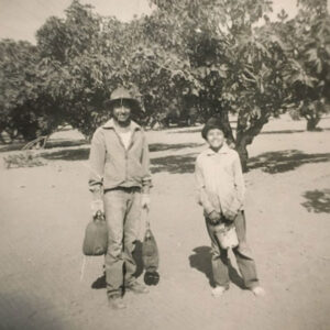 Kids Orange Trees